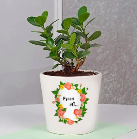 Green Gift For Mom